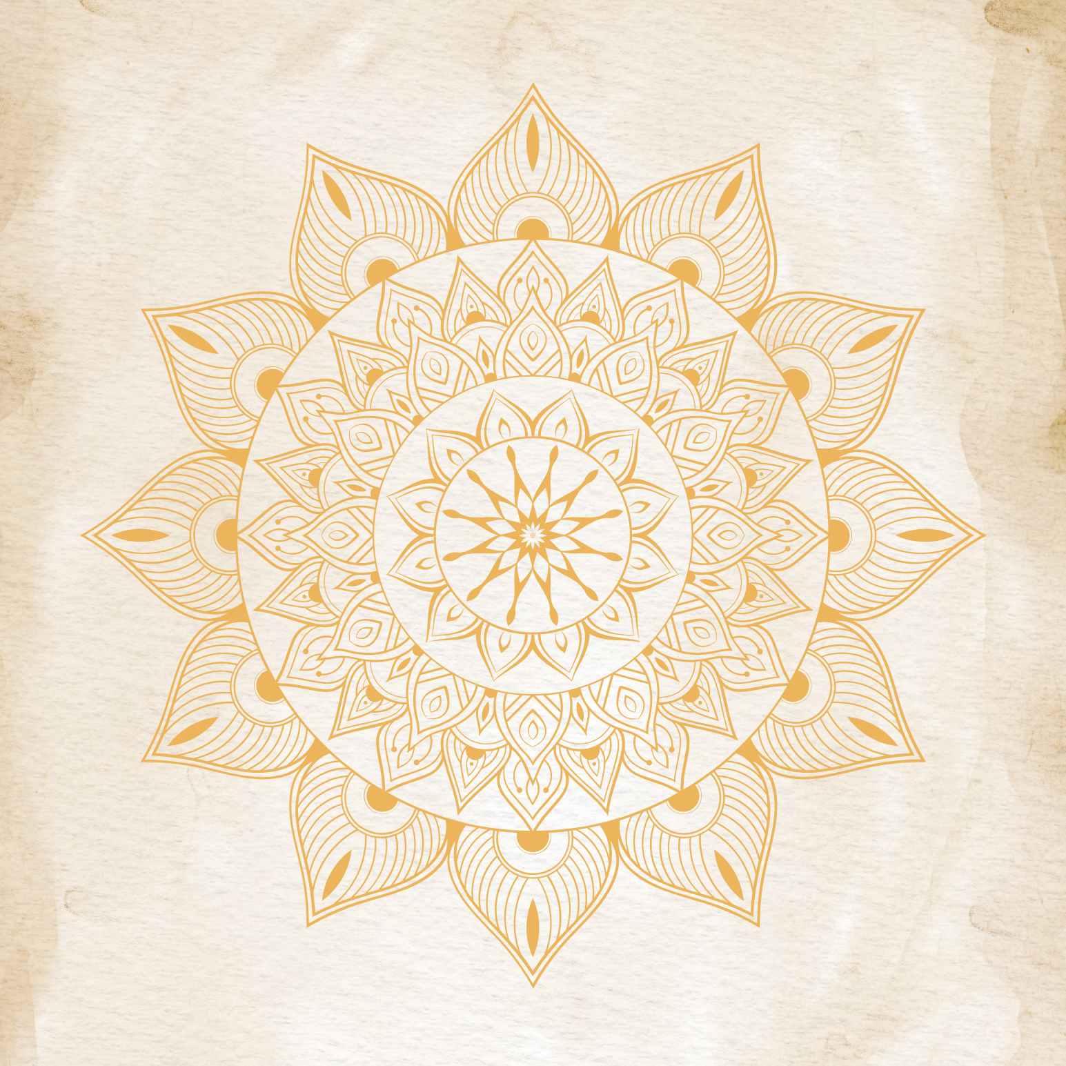 What Are the Five Koshas? A Beginner’s Guide